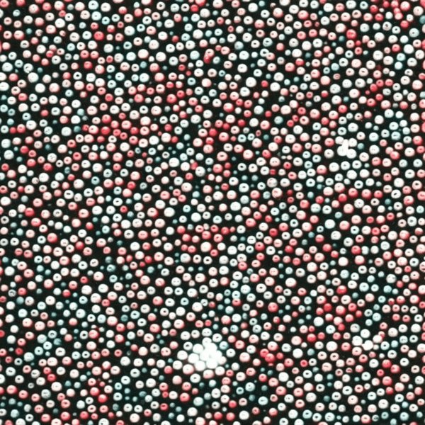 Droit à l'oubli numérique : Implications pour la gestion des données par PME